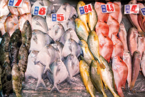 Shoppers expressed their frustrations over handling fish stall owners’ banknotes that smelt strongly of seafood, which would stain their possessions such as wallets. Shoppers expressed their frustrations over handling fish stall owners’ banknotes that smelt strongly of seafood, which would stain their possessions such as wallets.